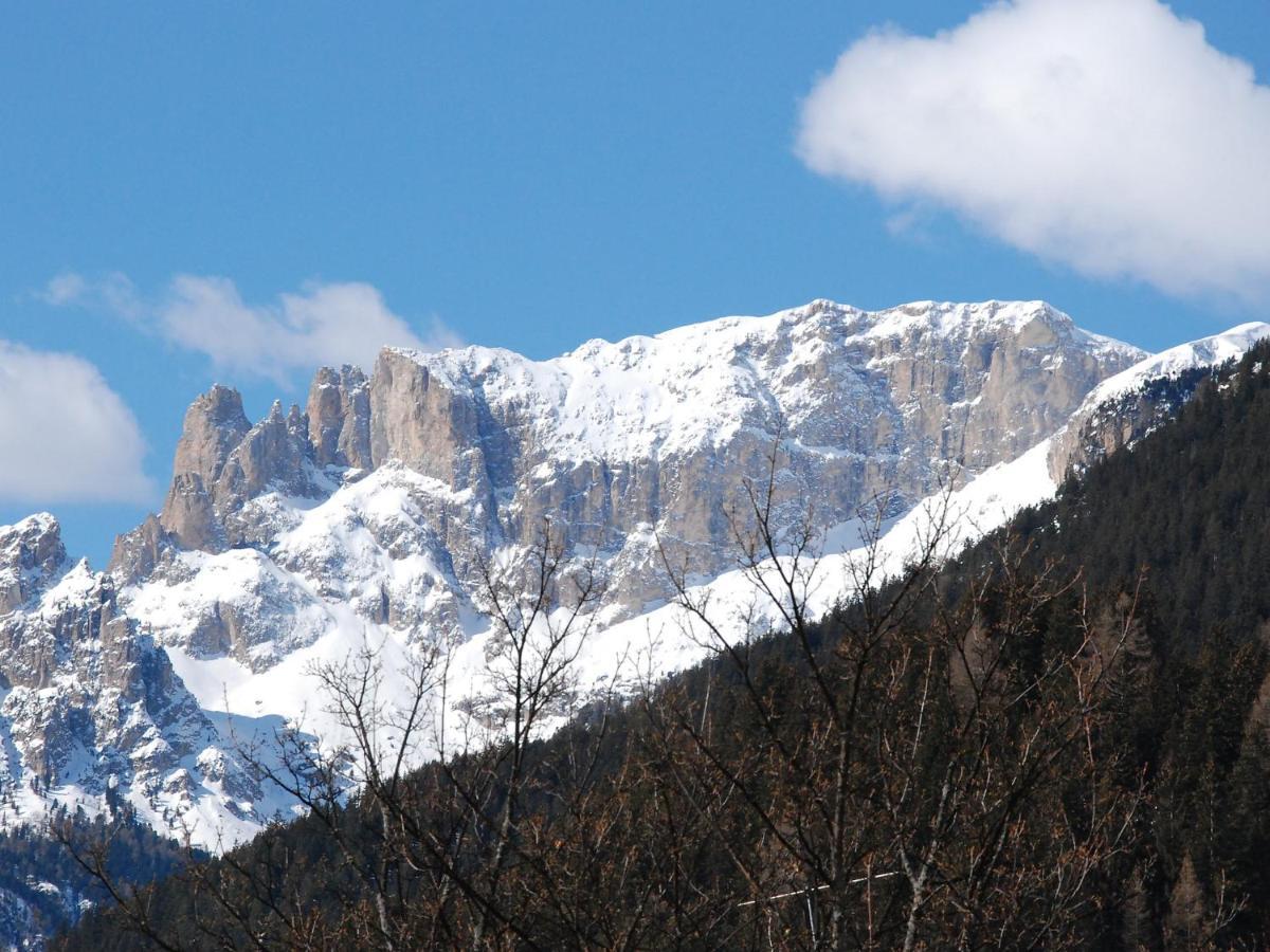 Apartment Villa Placidia-7 By Interhome Campitello di Fassa Εξωτερικό φωτογραφία